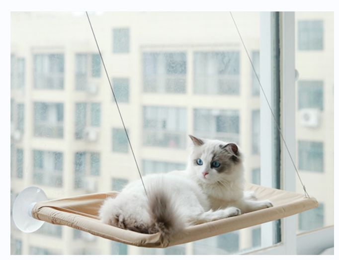 吸盘猫咪吊床 