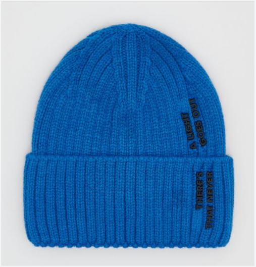 秋冬胶印百搭帽子 